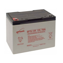 Акумулятор тяговий Genesis NP 55Ah 12V NP 55-12 (229x138x207)