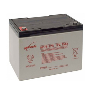 Акумулятор тяговий Genesis NP 55Ah 12V NP 55-12 (229x138x207) Акумулятор тяговий Genesis NP 55Ah 12V NP 55-12 (229x138x207)
